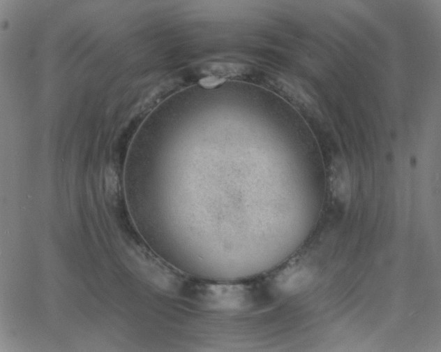 X0000062600371200512211117