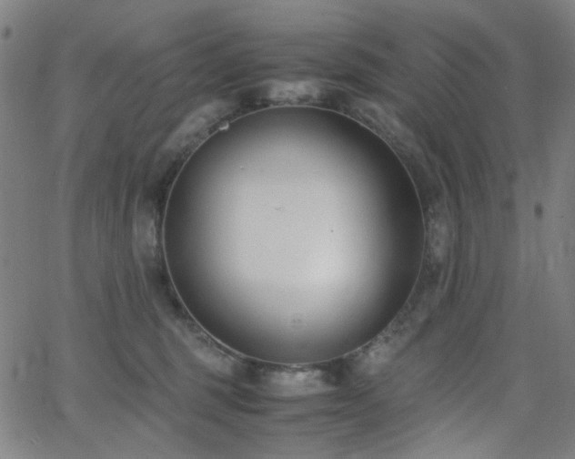 X0000062600375200512211117