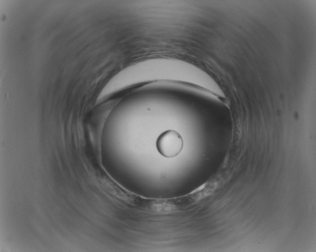 X0000062600376200512211117