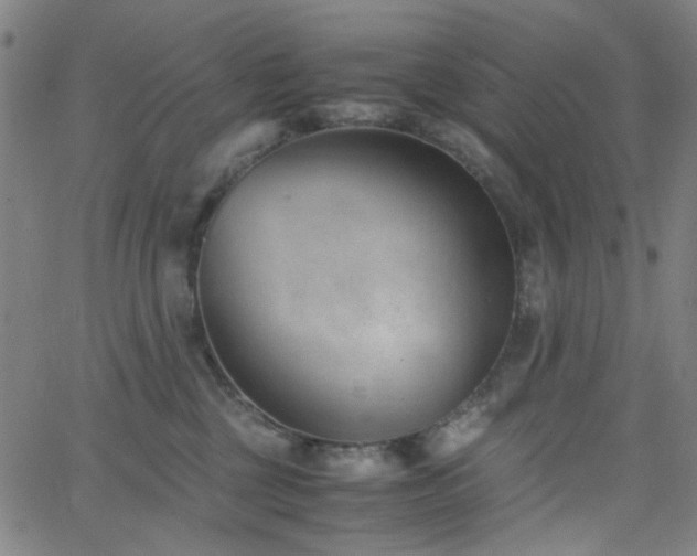 X0000062600377200512211117