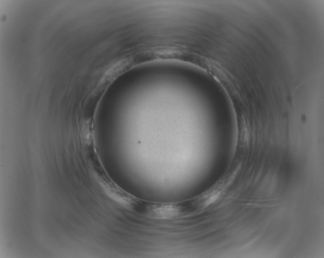 X0000062600383200512211117