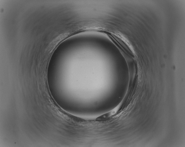 X0000062600385200512211116