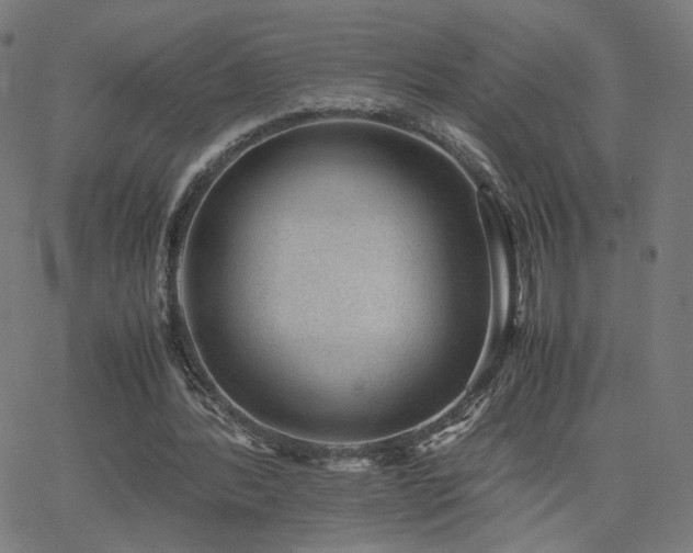 X0000062600388200512211116