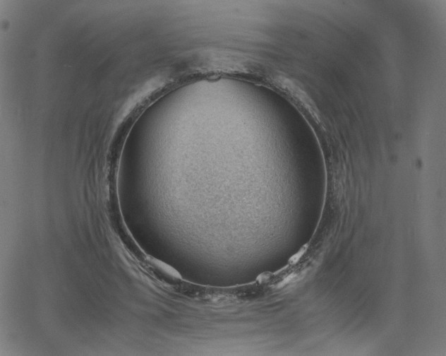 X0000062600395200512211116