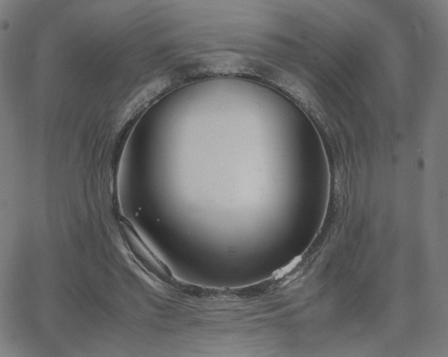 X0000062600397200512211116