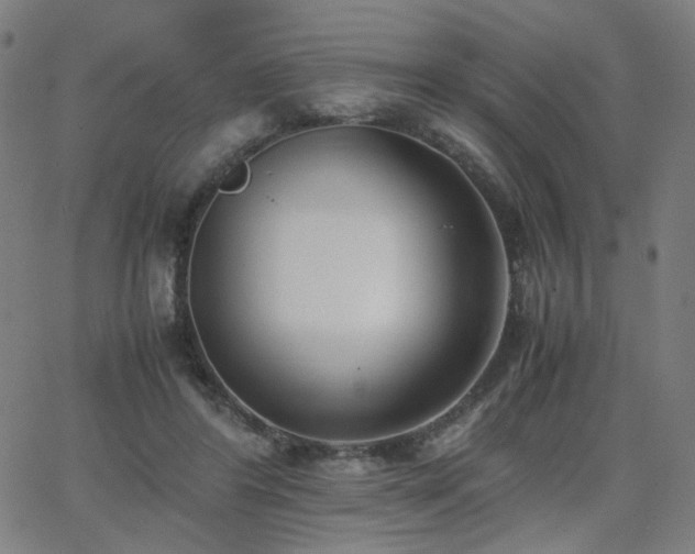 X0000062600404200512211116