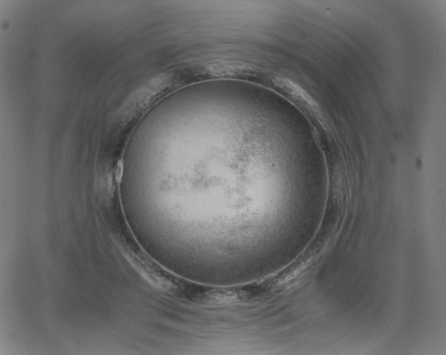 X0000062600405200512211116
