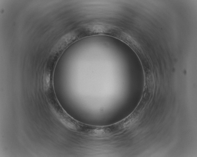 X0000062600406200512211116