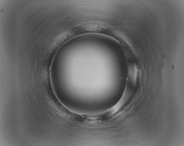 X0000062600407200512211116
