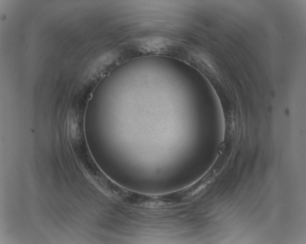 X0000062600408200512211116