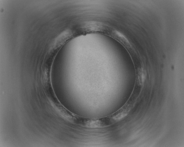 X0000062600410200512211116
