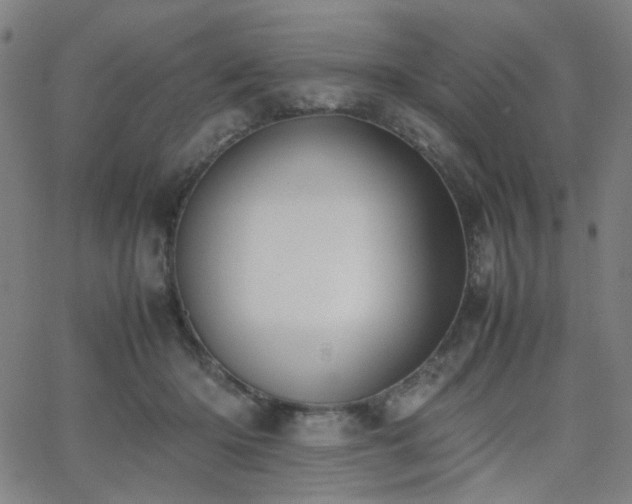 X0000062600414200512211115