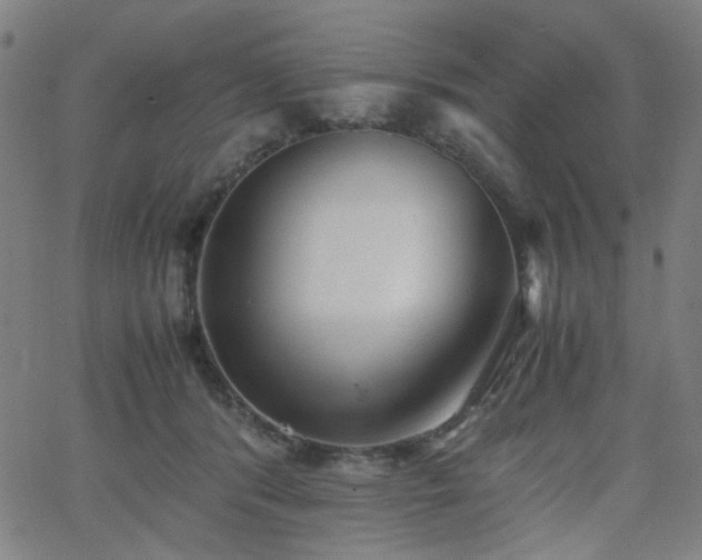 X0000062600416200512211115