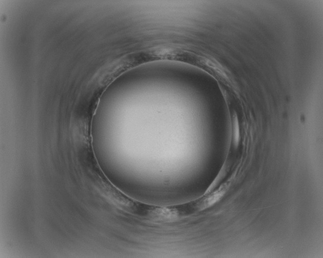 X0000062600421200512211115