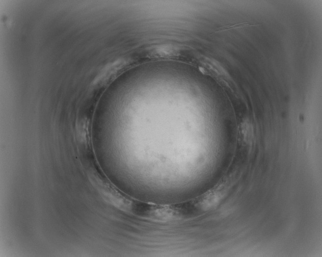 X0000062600423200512211115