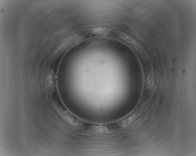 X0000062600424200512211115