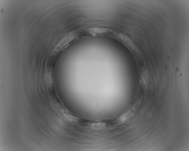 X0000062600426200512211115