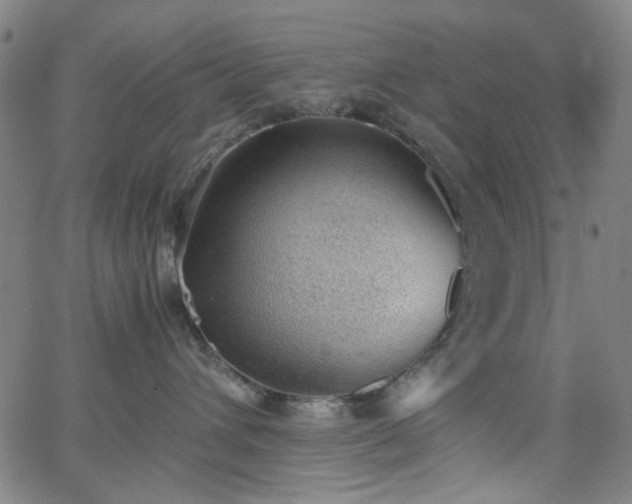 X0000062600432200512211115