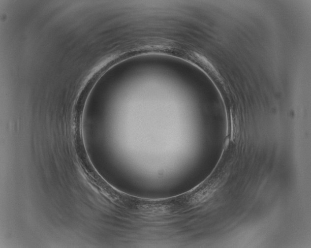 X0000062600435200512211114