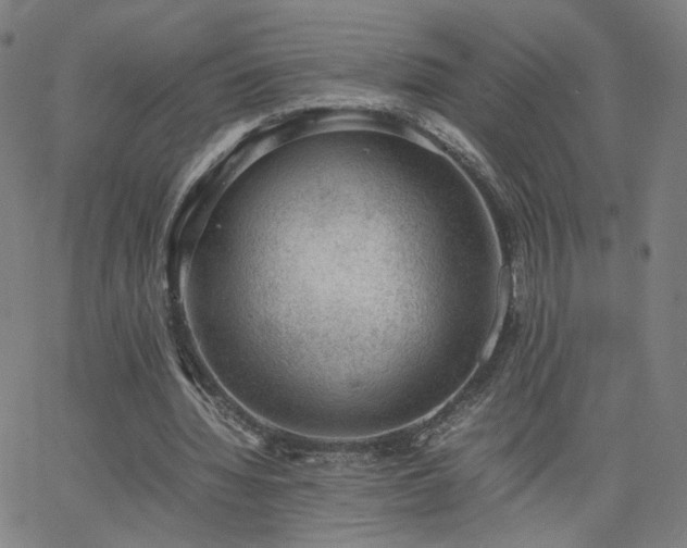 X0000062600436200512211114