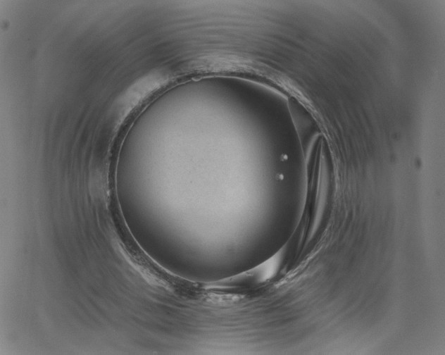 X0000062600438200512211114