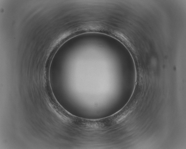 X0000062600439200512211114