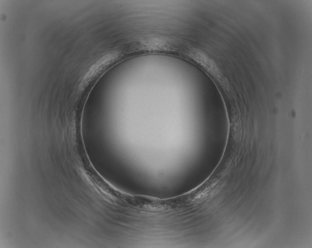 X0000062600442200512211114