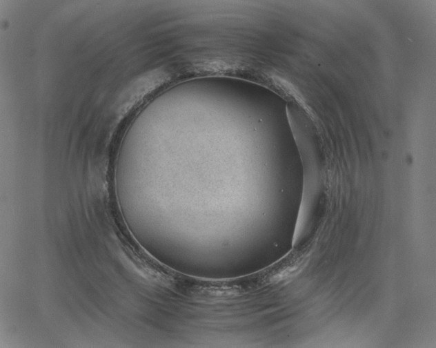 X0000062600443200512211114