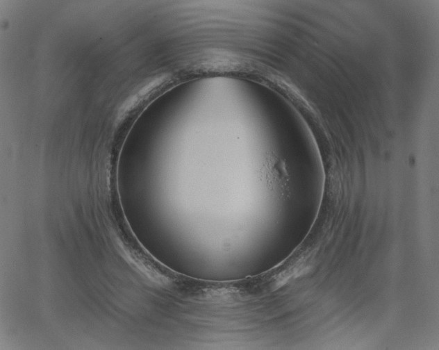 X0000062600446200512211115