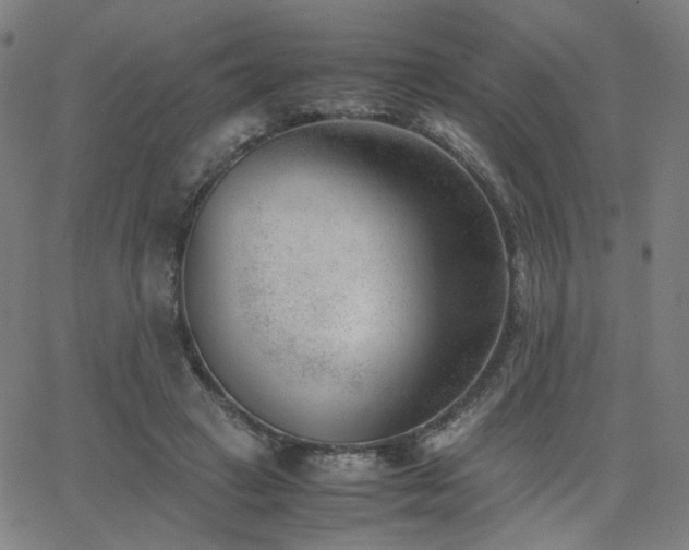 X0000062600449200512211115