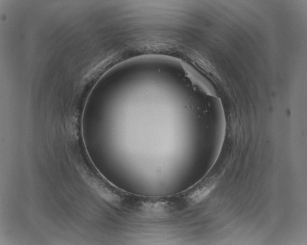 X0000062600450200512211115
