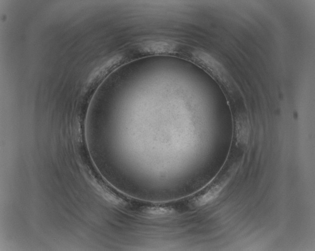 X0000062600453200512211115