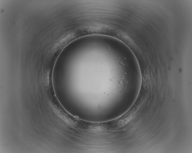 X0000062600454200512211115