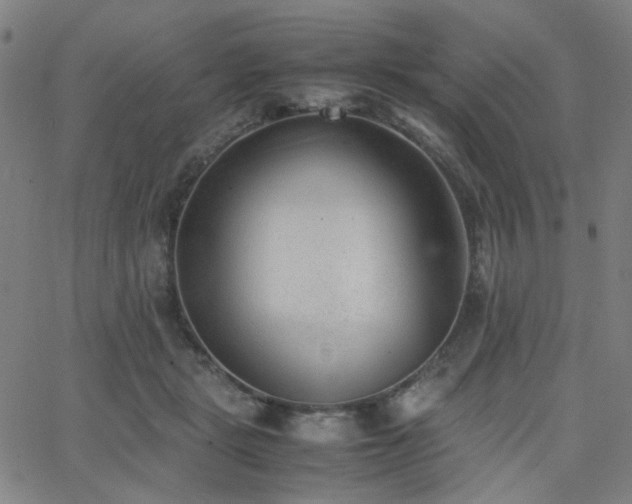 X0000062600461200512211115