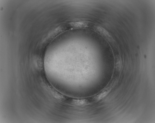 X0000062600469200512211115