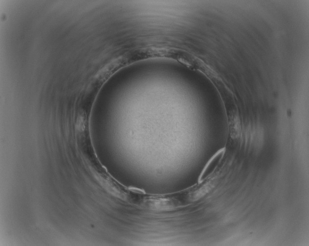 X0000062600472200512211115