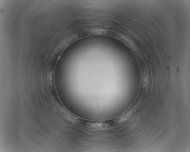 X0000062600473200512211115