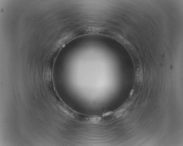 X0000062600474200512211115