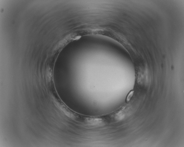 X0000062600476200512211115