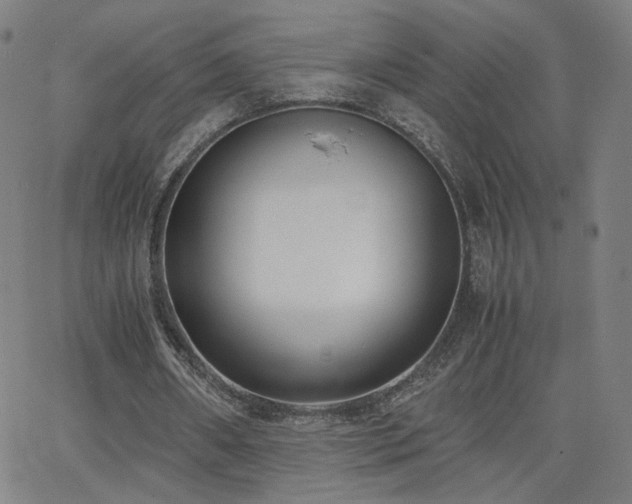 X0000062600482200512211114