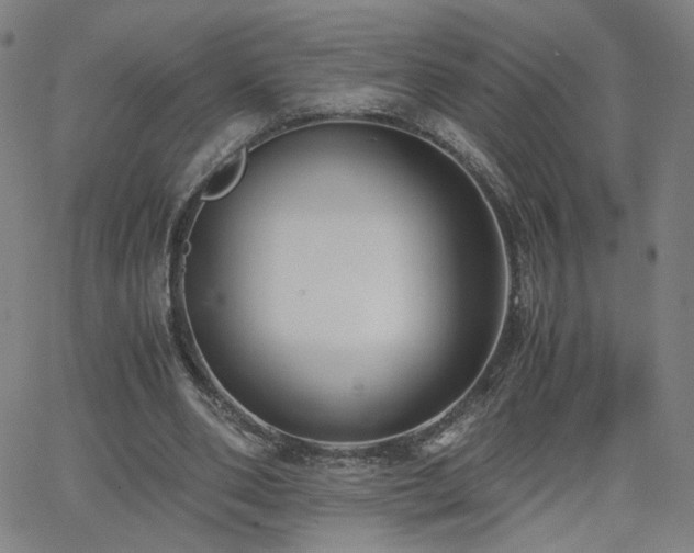 X0000062600486200512211114