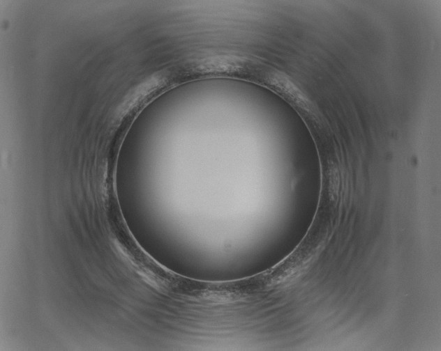 X0000062600490200512211114