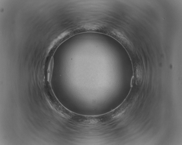 X0000062600492200512211114