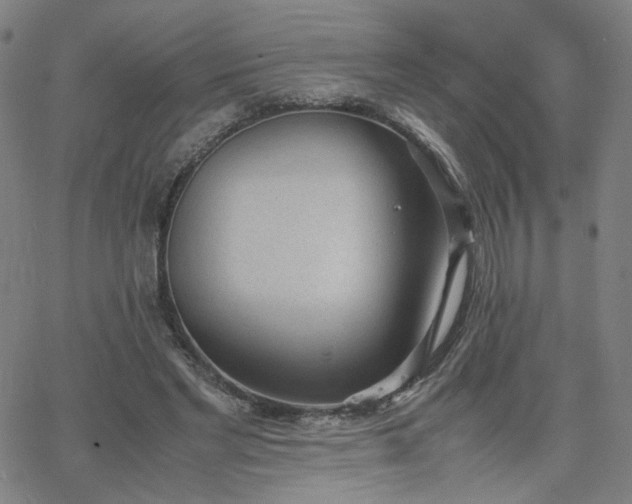 X0000062600493200512211114