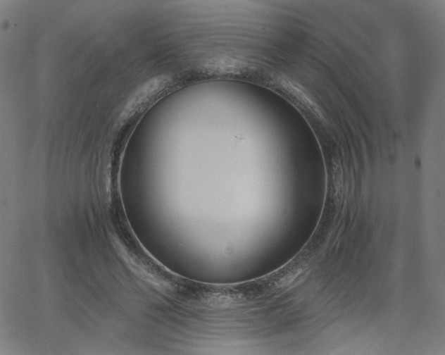 X0000062600494200512211114
