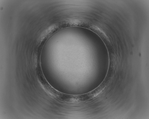 X0000062600496200512211114