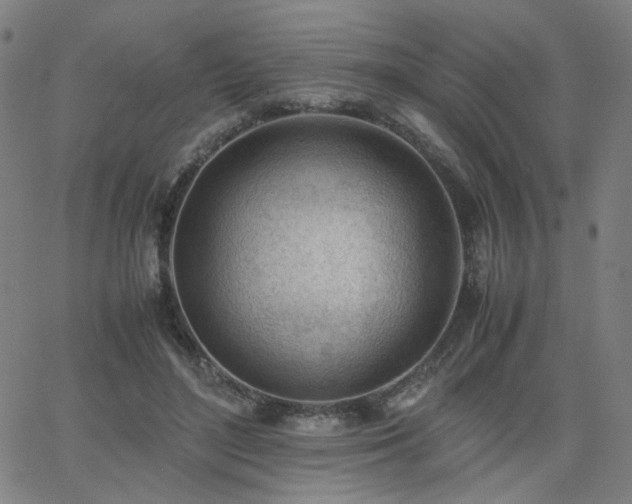 X0000062600500200512211114