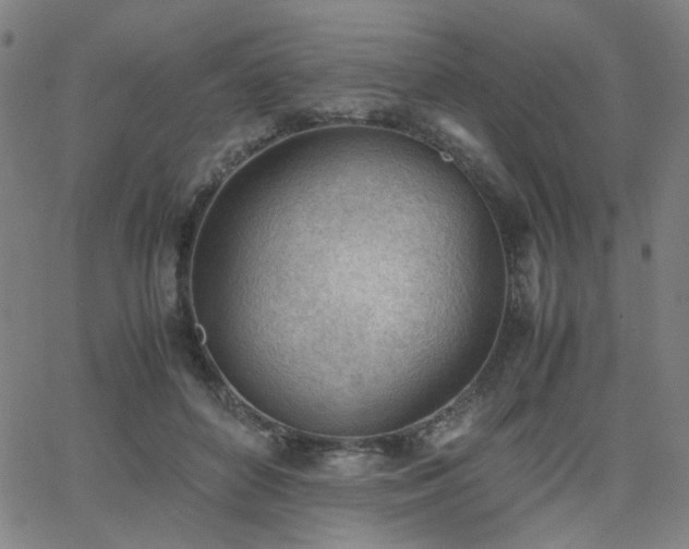 X0000062600504200512211114