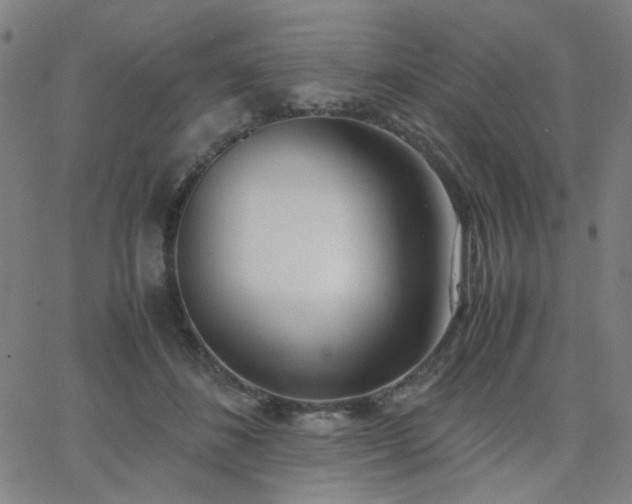X0000062600508200512211114