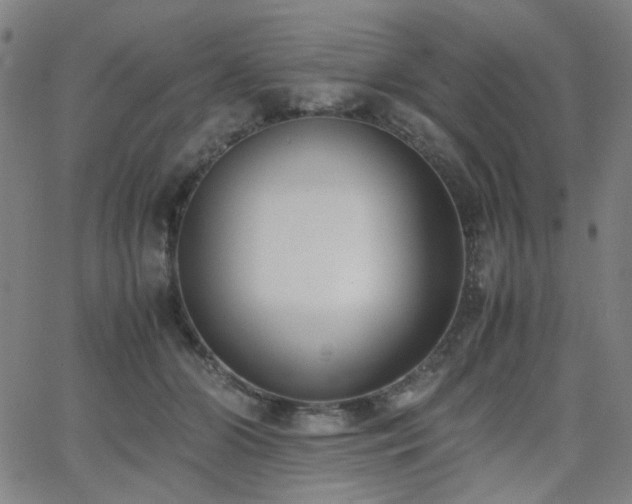 X0000062600510200512211114